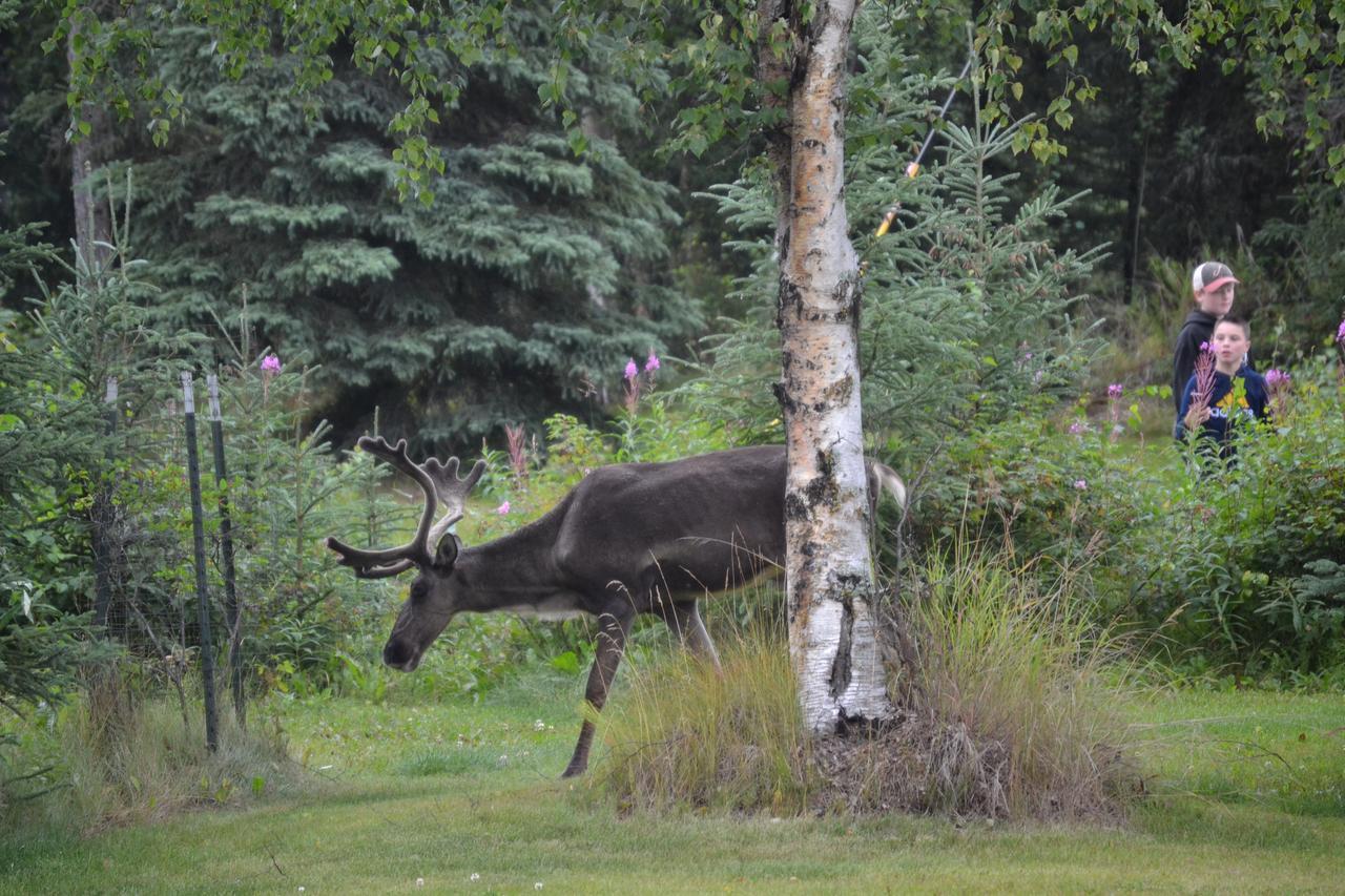 All Seasons B&B Kenai Eksteriør bilde